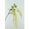 8974 8974 52113 05 amaranthus kremovy 100cm