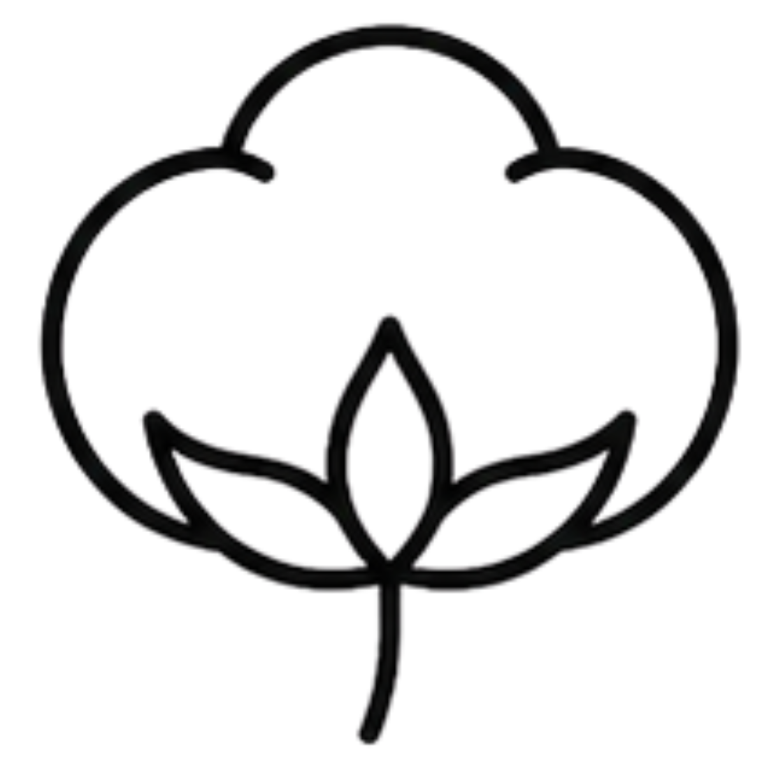 bavlna eco