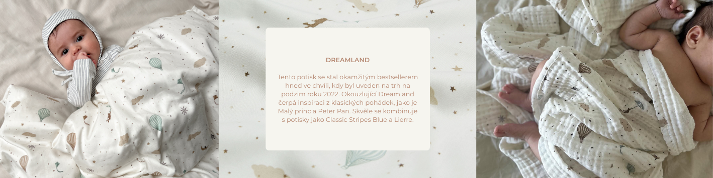 camcam_dreamland