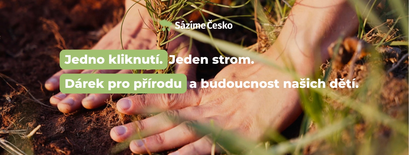 Sazime_Cesko_SimplyKids