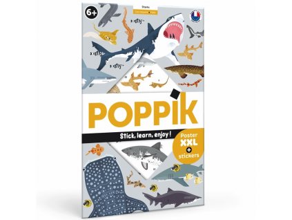 poppik poster stickers requins sharks pédagogique éducatif autocollants