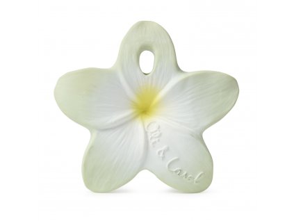 oli-carol-kousatko-hawaii-the-flower