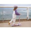 Dětská koloběžka Banwood Eco Scooter Lavender (3)