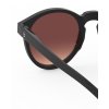 Izipizi Brýle SUN #M Black Road_5