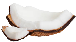Coconut