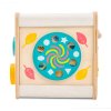 PL105 Petit Activity Cube Weather Wheel