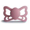 Butterfly Cedar size 2