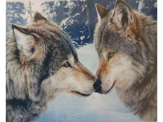 Diamantové obrázky 40x30cm Vlci
