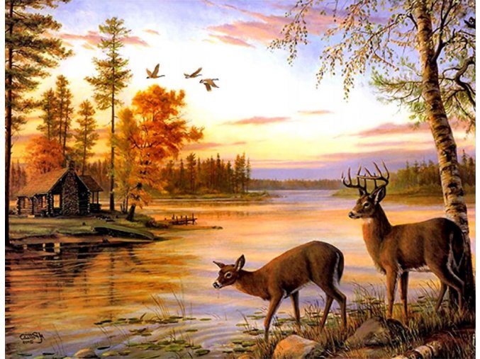 jelen a řeka