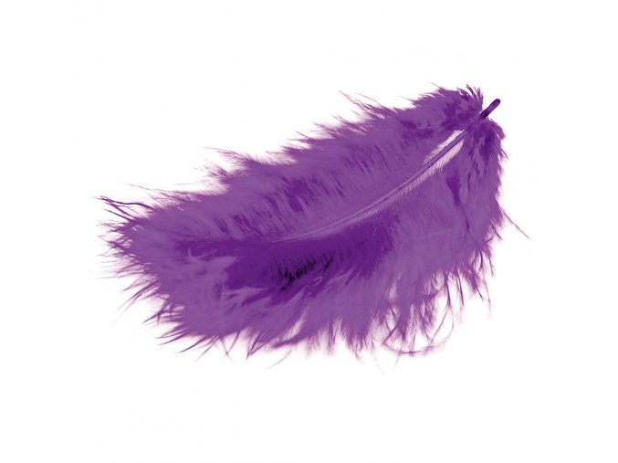 Flaušová peříčka - fialová