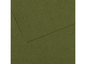 Pastelový papír 160g - č.448  Zeleň tmavá