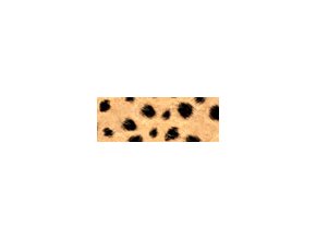 Motiv karton - Gepard hnědý 300g