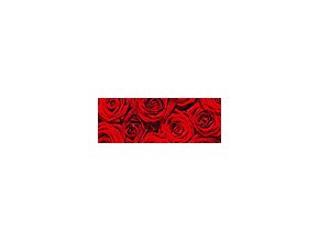 Motiv karton Růže 270g