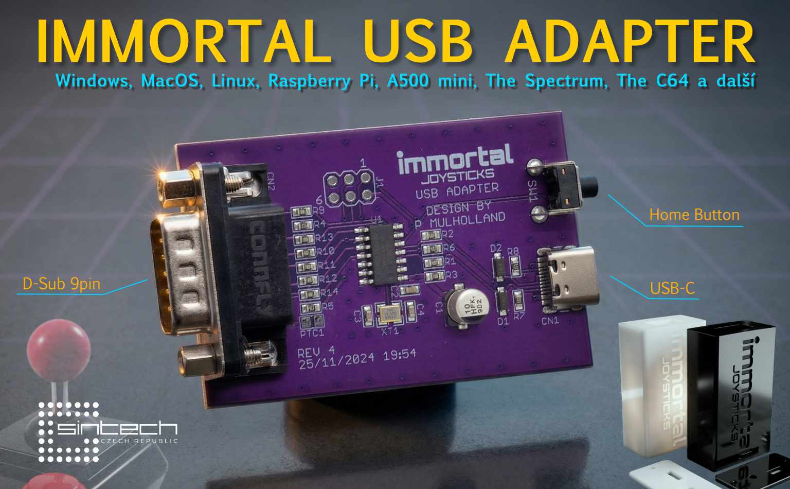 8243_Immortal_poster01