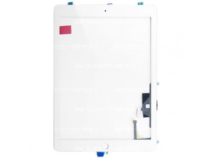 216957 10001 1 ipad5 glass 1