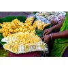 jackfruit2