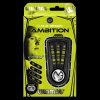 Šipky Winmau MVG Ambition 20g - soft brass