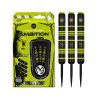 Šipky Winmau steel MvG Ambition 24g, BRASS