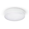 7698 stropni plnospektralni svitidlo kruhove amica led bila 41 cm 25 w