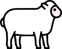 Jehněčí