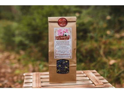 Sléz maurský květ