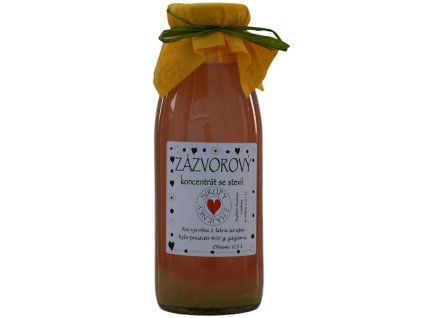 Zázvorový koncentrát (Objem 1l)