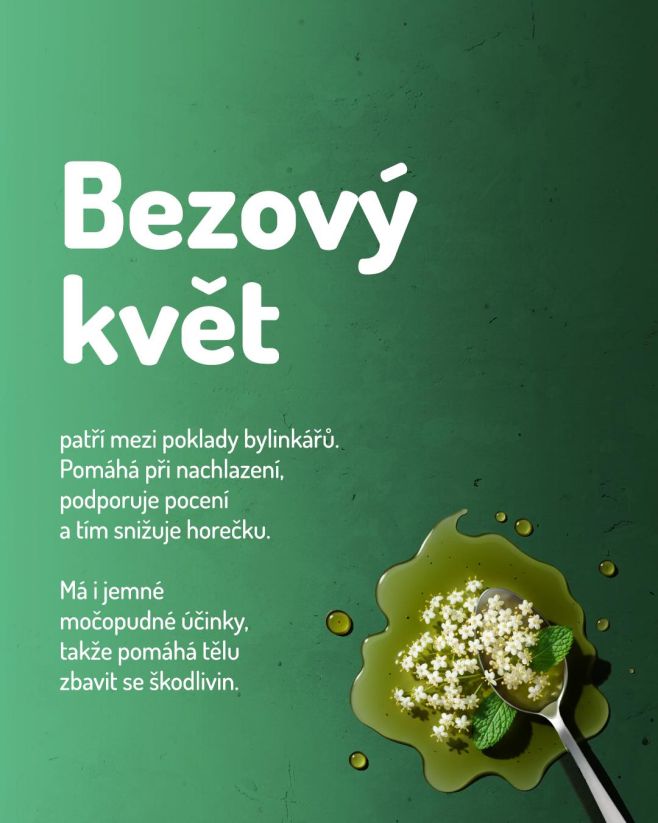 🌼 BEZOVÝ KVĚT 🌿 patří mezi poklady bylinkárů. Pomáhá při nachlazení, podporuje pocení a tím snižuje horečku. Má i jemné...