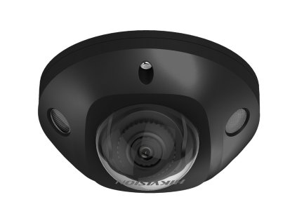 DS-2CD2543G2-IS - (2.8mm)(BLACK)