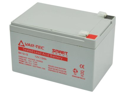 2208 065 smart heavy 12v 12ah