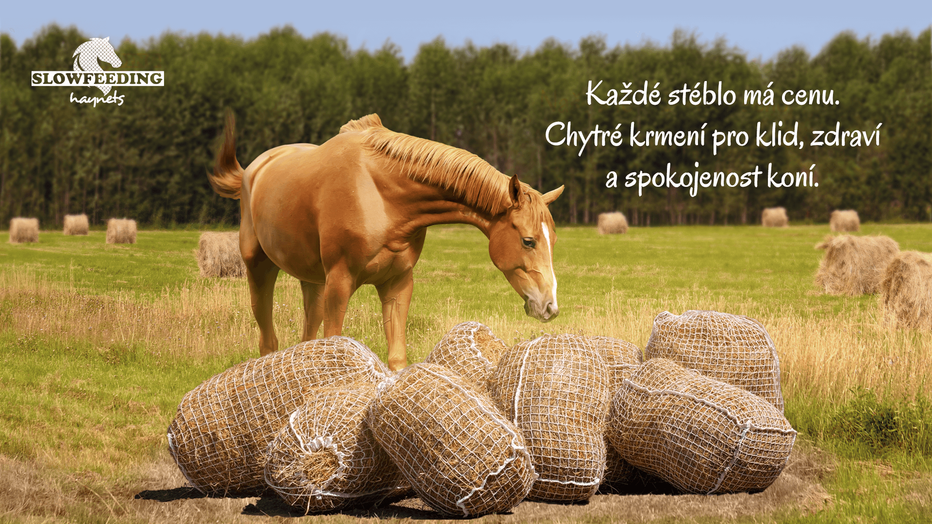 Závěsné sítě na seno