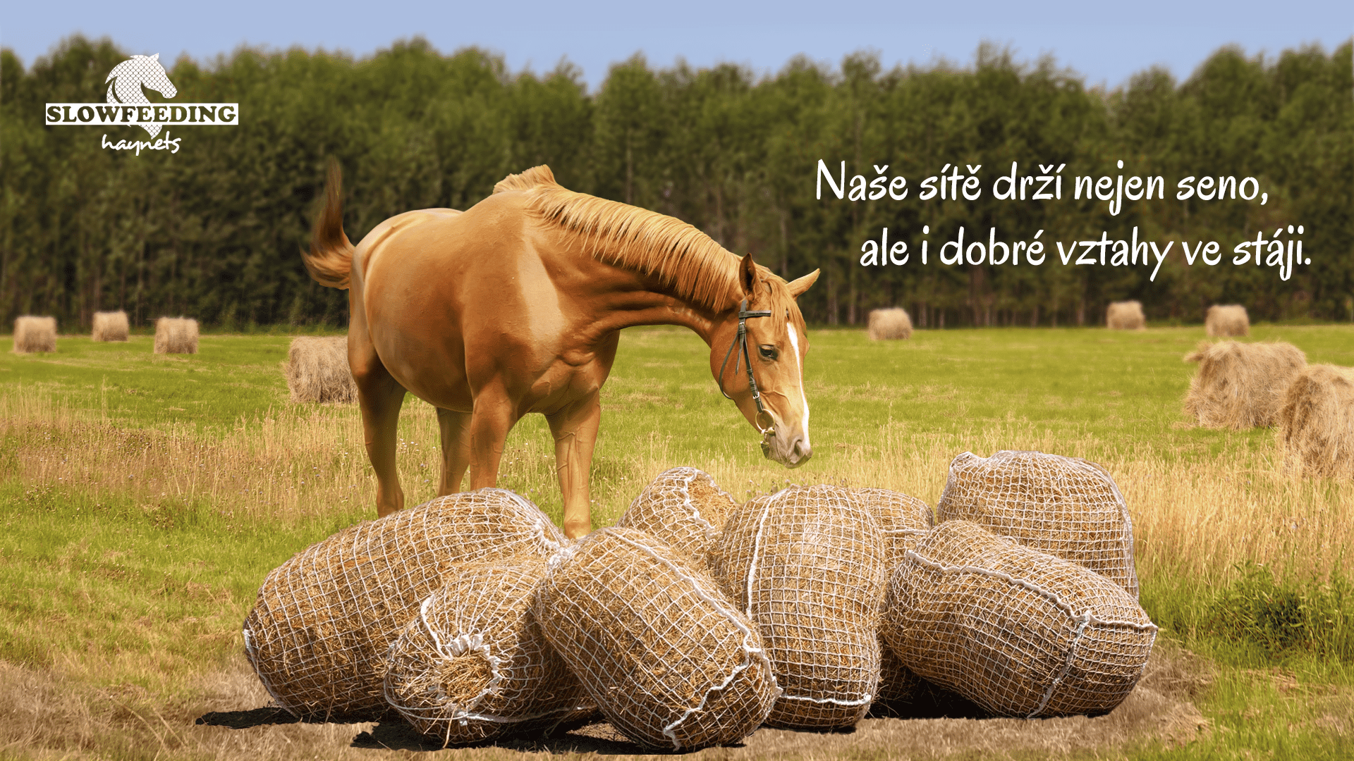 Závěsné sítě na seno