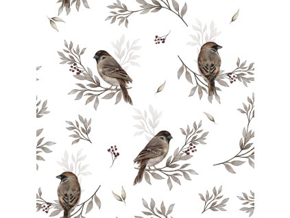 sparrows white