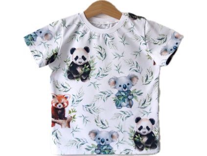 5910B056 7A0D 48B4 A20C 519627C85F00 1 105 c