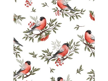 bullfinch bird white