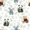 1.Panda & Koala Eucalyptus