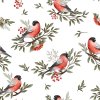 bullfinch bird white
