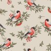 bullfinch bird beige