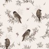 sparrows beige
