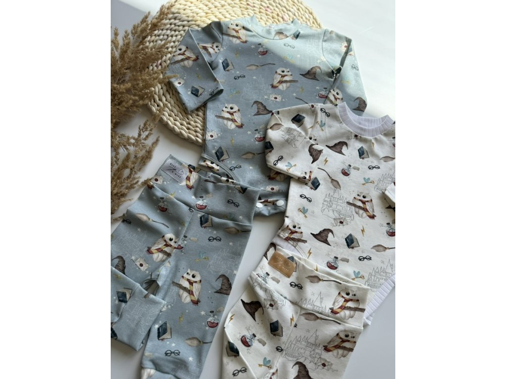 3F9B2F83 C5E3 4710 8342 7872435E66D0 1 105 c