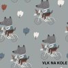 953 vlk na bicykli156 (kopie)