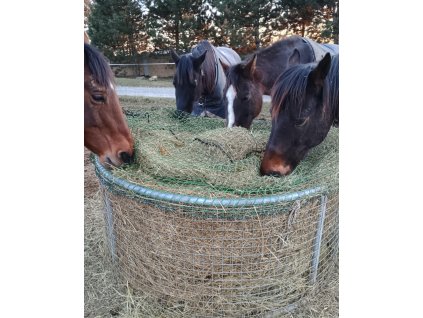 Messenger creation 339270E9 404B 4162 9951 375E1ABB30C1 (2)