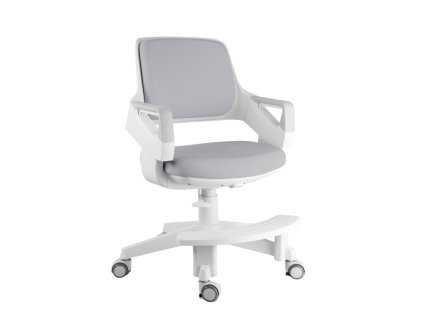 32446fcd1ba4bb8f9c7a371517fe66b2 kidde five 1 g[1]