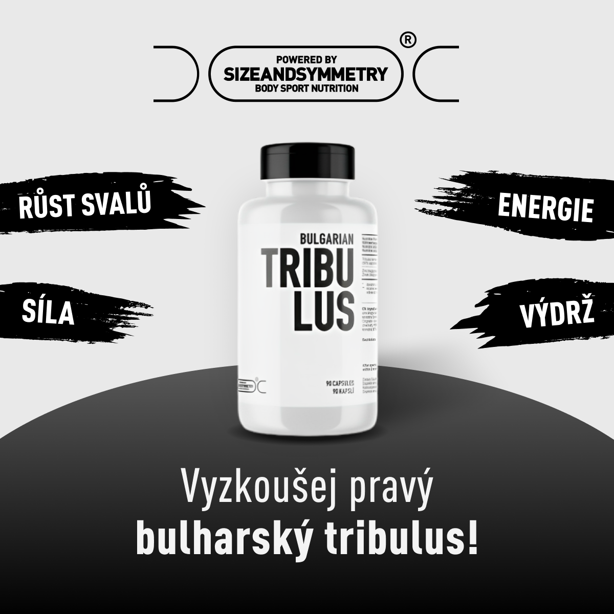 tribulus-1