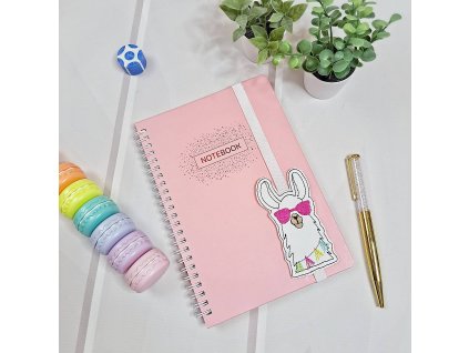 c R16452078 706258 20240312 20740