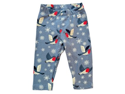 Photoroom 047 20241027 193312