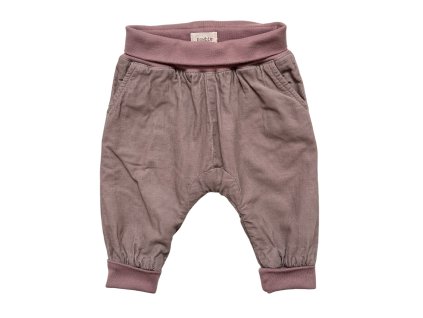 Photoroom 005 20241130 171833