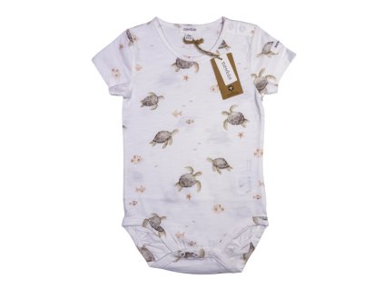 131 IMG 6481 Photoroom