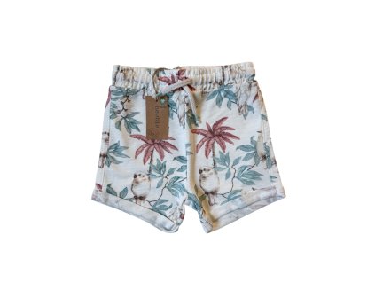 Photoroom 000 20250613 202505