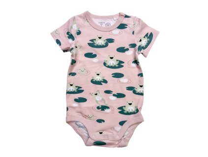 15 IMG 6645 Photoroom