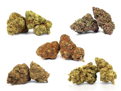 starter pack set kvety thc r amnesia haze thc r strawberry diesel thc r mango og thcr biscotti thcr purple kush